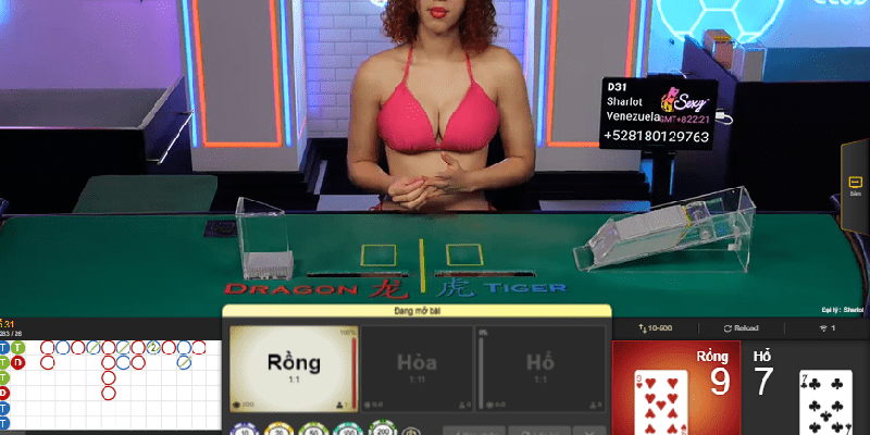 Cách chơi rồng hổ và tổng hợp 7 kinh nghiệm nhỏ cho game thủ Cách chơi rồng hổ cơ bản như thế nào?