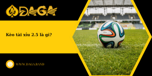 Khám phá kèo tài xỉu 2.5 là gì? Kinh nghiệm chơi kèo hay